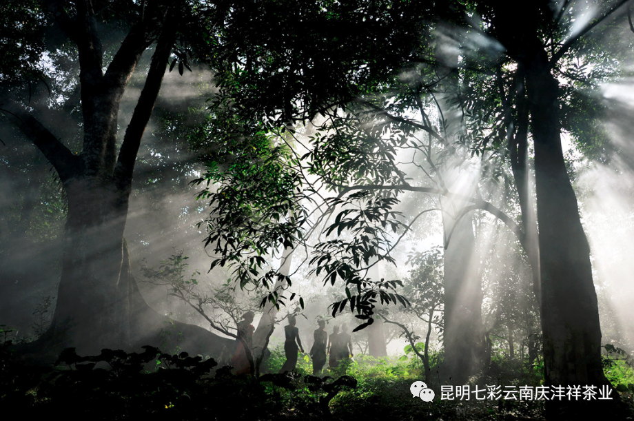 微信圖片_20200623135137.png