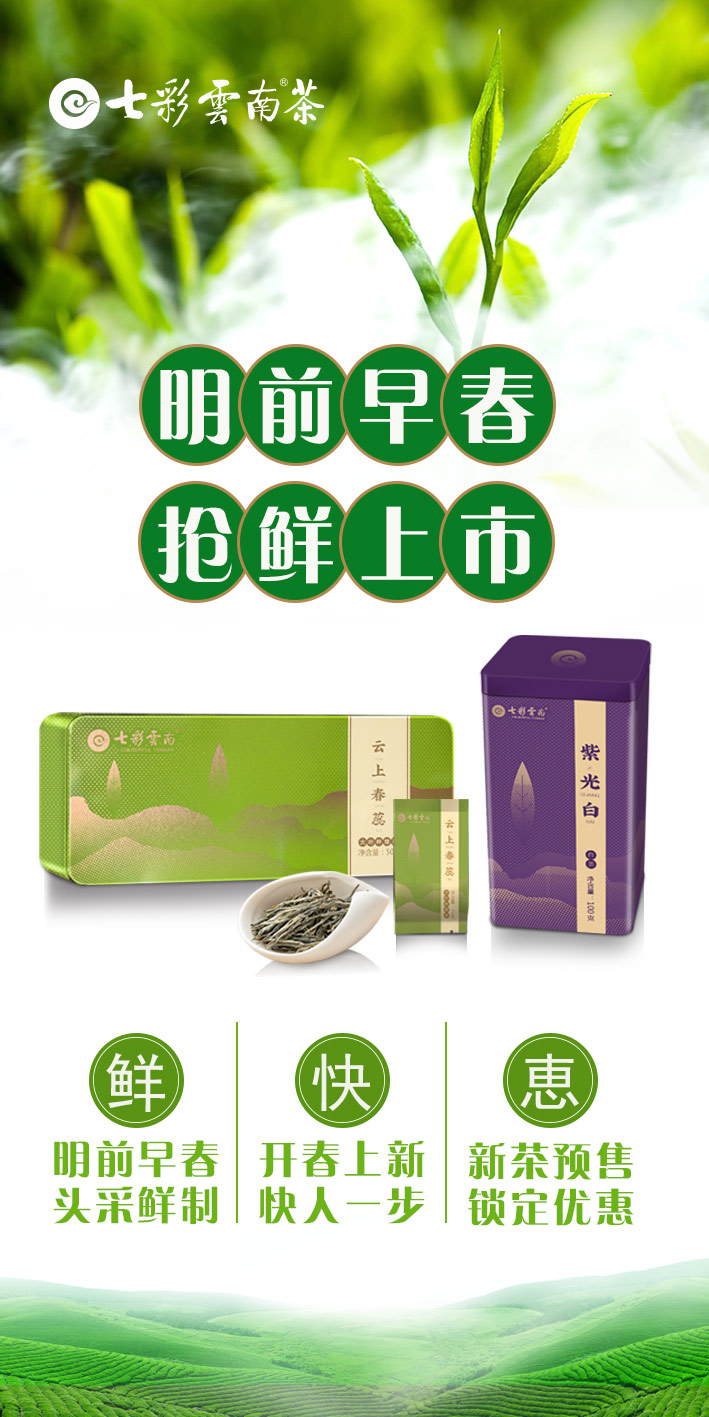 2021春茶搶先.jpg