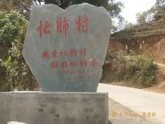 6243cecf2db72.jpg