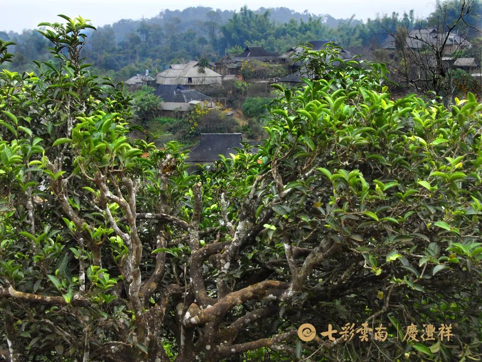 624cf4d21016c.jpg