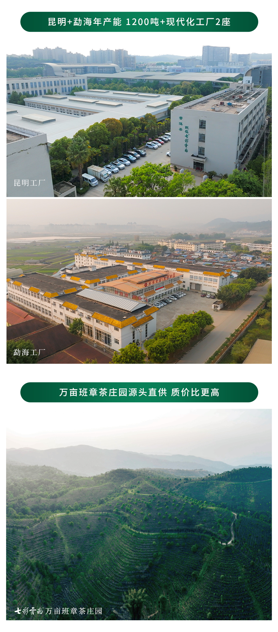 2025年招商加盟長(zhǎng)圖_05.jpg