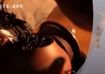 年代老茶