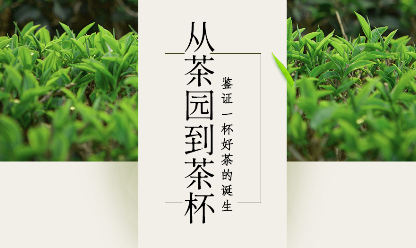 產(chǎn)品溯源