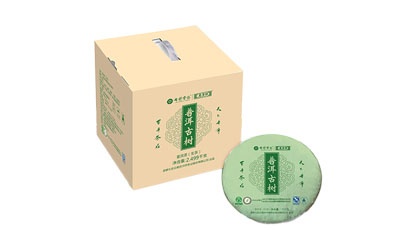 普洱古樹