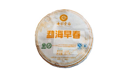 勐海早春