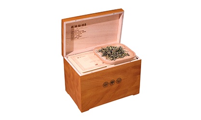 森林秘境